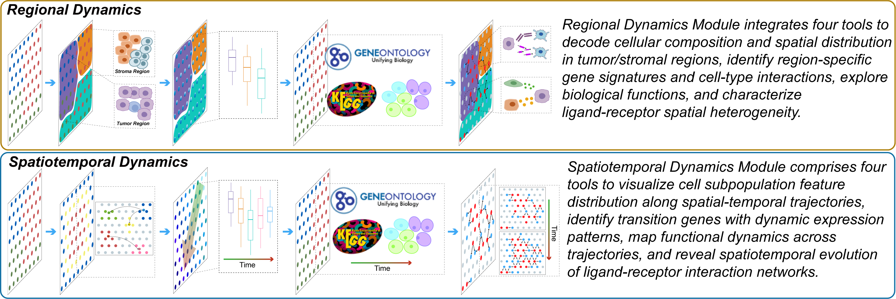 Overview Design