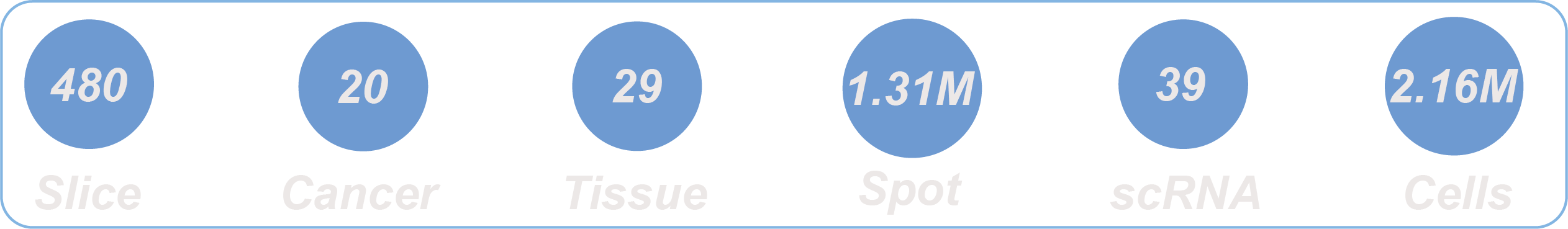 Overview Design